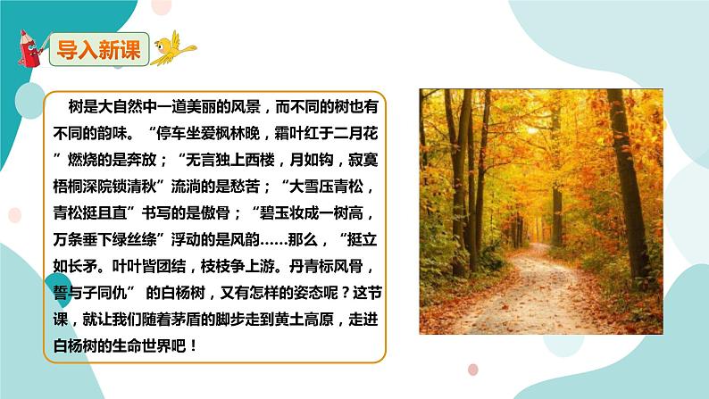 人教版8年级上册语文《白杨礼赞》(第一课时)课件第2页