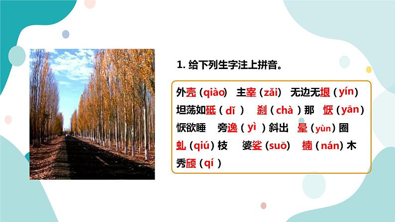 人教版8年级上册语文《白杨礼赞》(第一课时)课件第7页