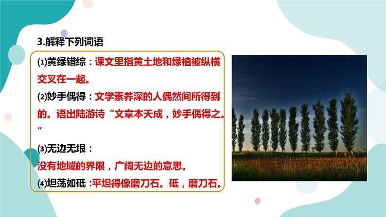 人教版8年级上册语文《白杨礼赞》(第一课时)课件第8页