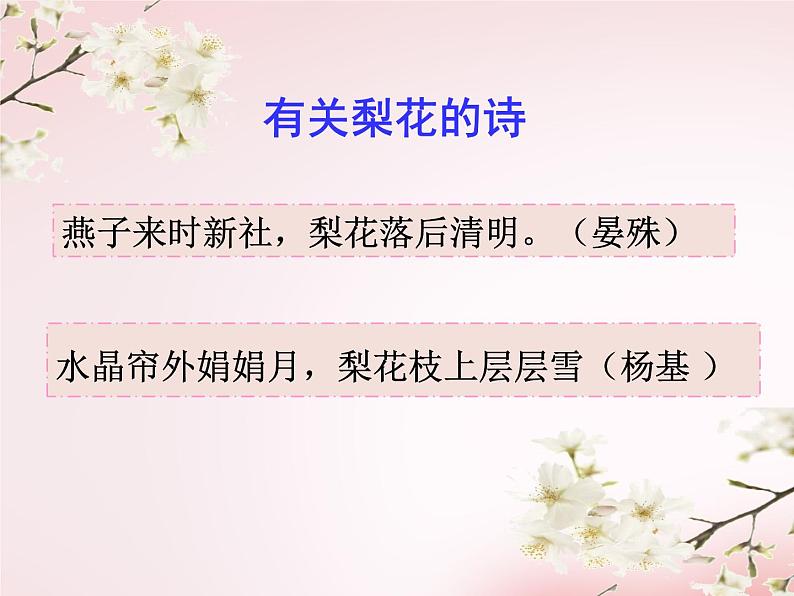 第15课《驿路梨花》课件(共22张PPT)+2021—2022学年部编版语文七年级下册第3页