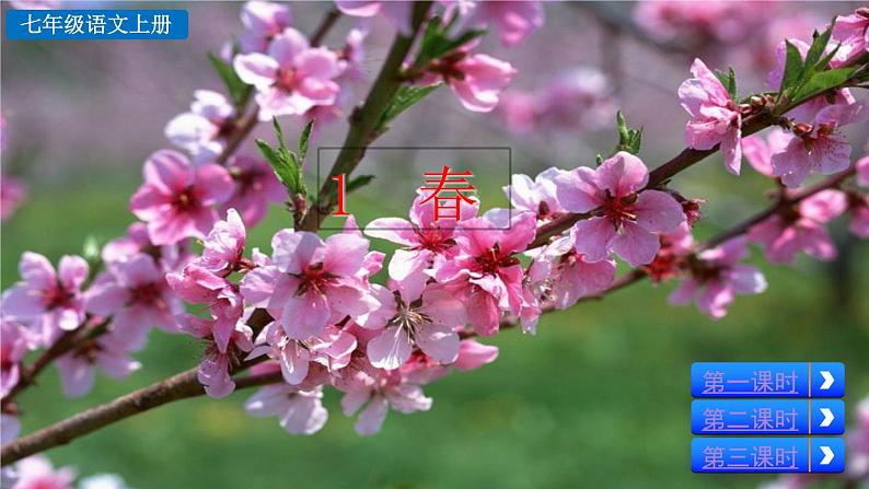 1 春 课件第3页