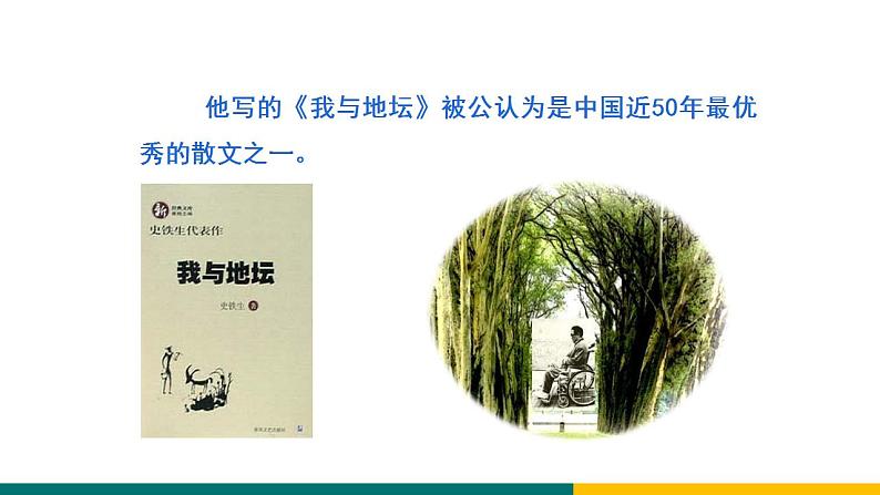部编版七年级语文上册5 秋天的怀念(课件)04