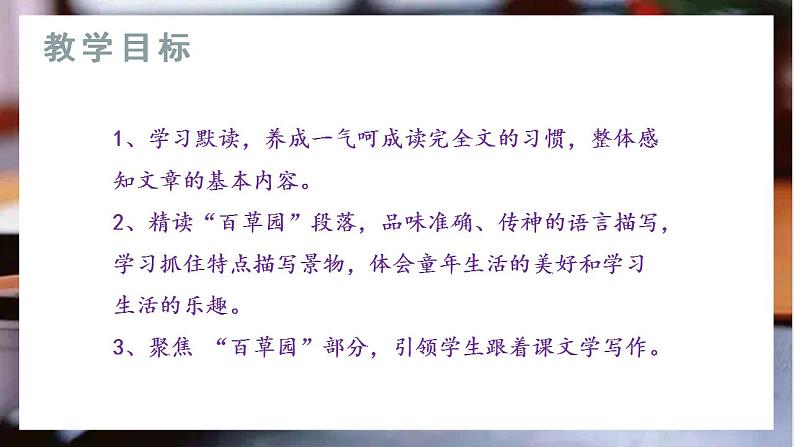 从百草园到三味书屋第一课时教学课件+教学设计03