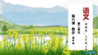 初中语文人教部编版七年级上册第二单元6 散步教学ppt课件