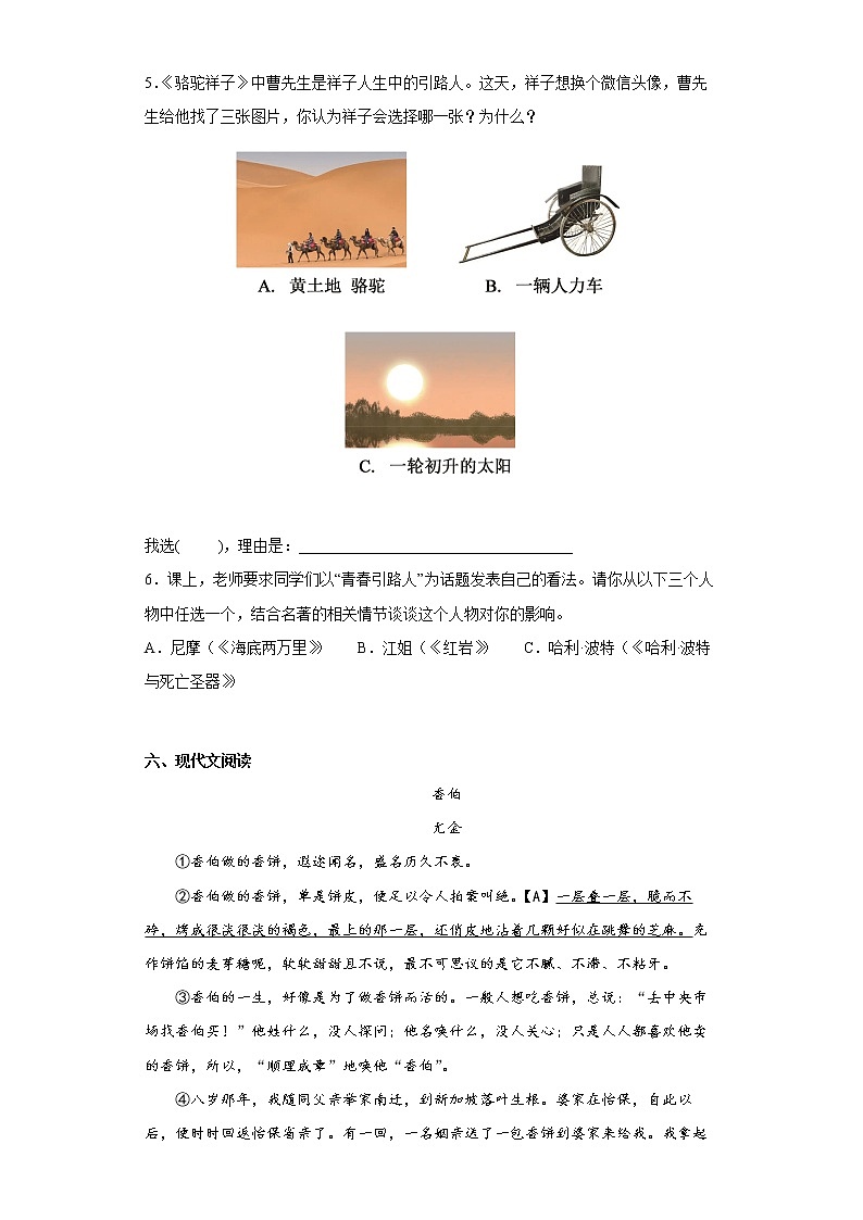 浙江省嵊州市2021-2022学年七年级下学期期末语文试题(word版含答案)第3页