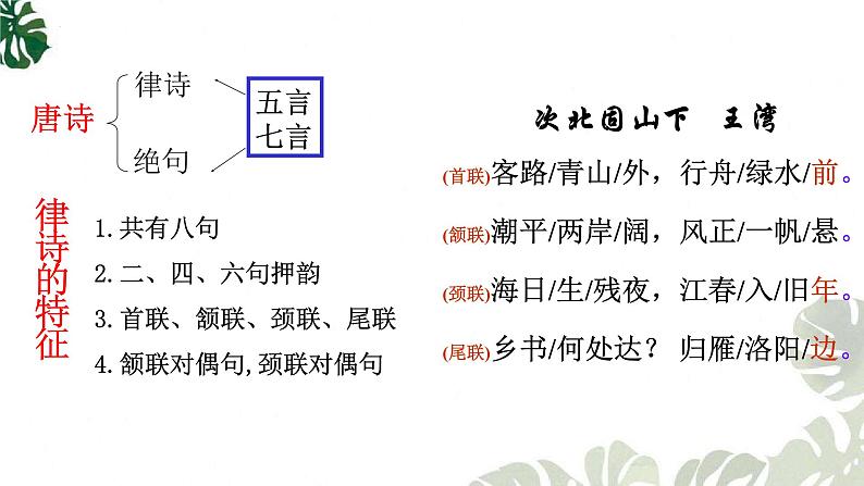 第4课《古代诗歌四首——次北固山下、天净沙秋思》课件 部编版语文七年级上册06