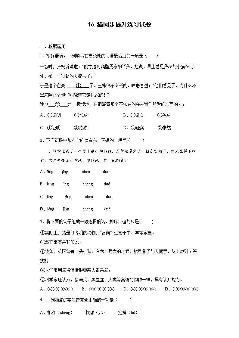 16.猫同步提升练习试题01