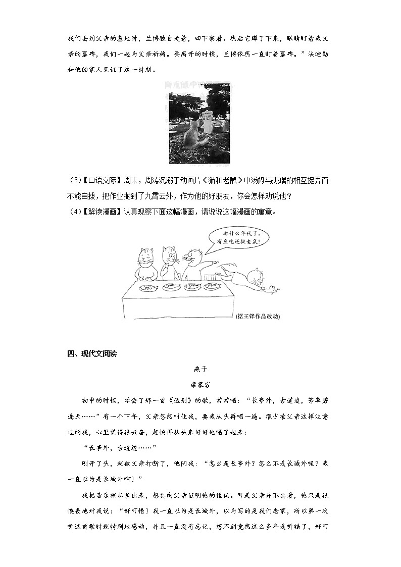 16.猫同步提升练习试题03