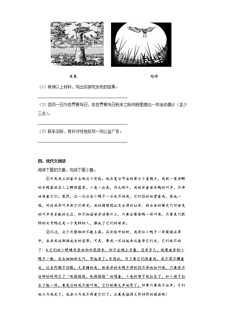 17.动物笑谈同步提升练习试题03