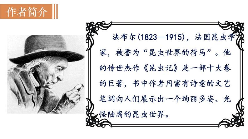 21 《蝉》(课件+教案) 2022-2023学年部编版语文八年级上册04