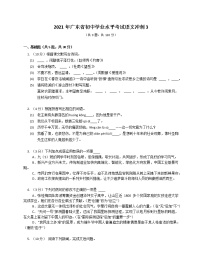 2021年广东省初中学业水平考试冲刺语文试题3