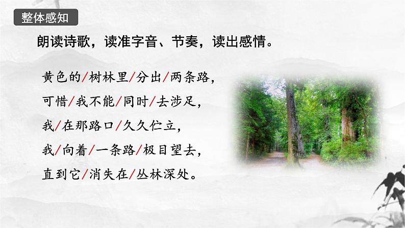 第20课《未选择的路》课件第8页