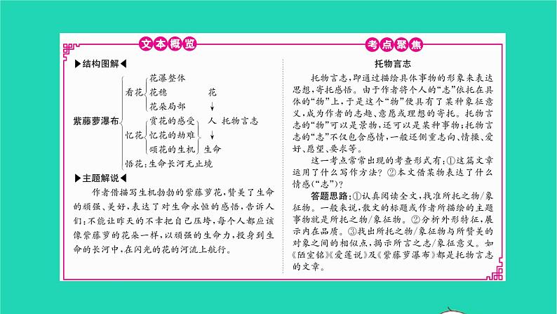 2022部编版语文七年级下册第五单元18紫藤萝瀑布课件02