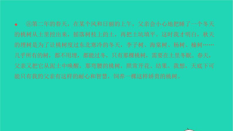 2022部编版语文七年级下册专题训练八现代文阅读习题课件07