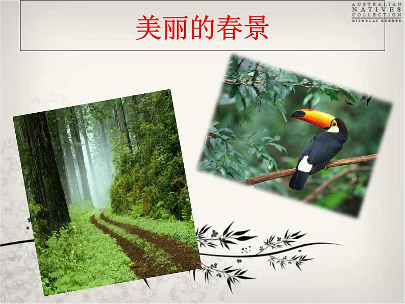 初中语文7下晚春1教学课件第3页