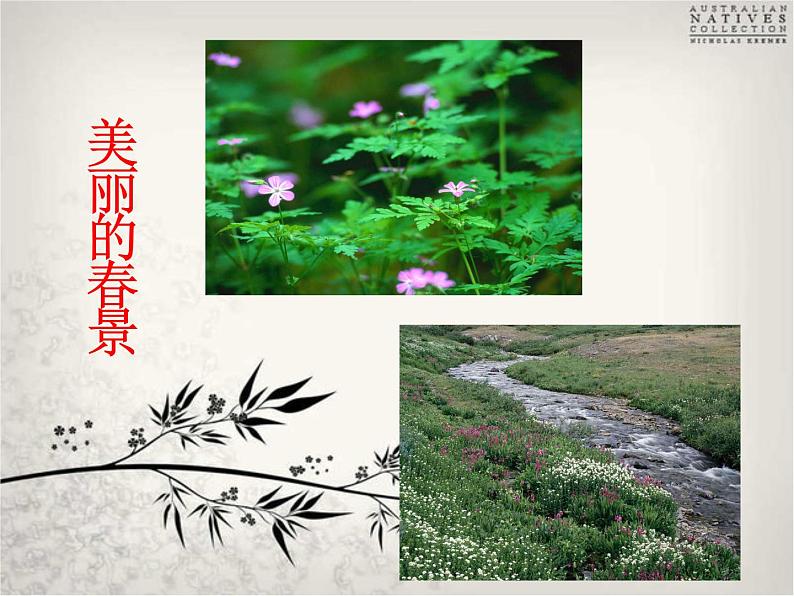 初中语文7下晚春1教学课件第5页