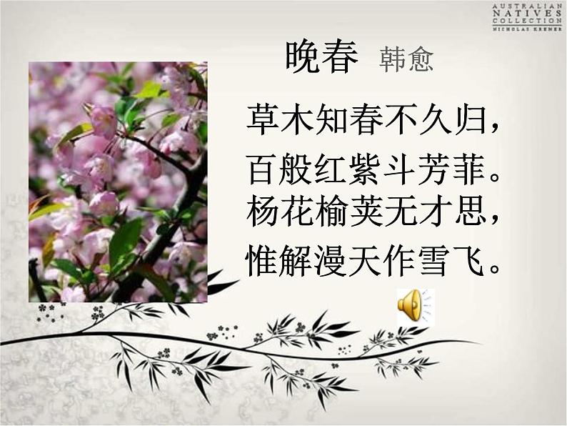 初中语文7下晚春1教学课件第6页
