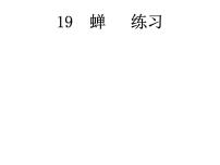 人教部編版八年級上冊21* 蟬圖片ppt課件
