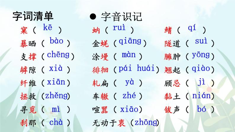 语文8上 21蝉教学课件04