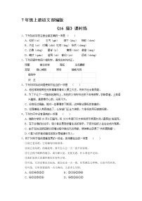 初中语文人教部编版七年级上册16 猫课时训练