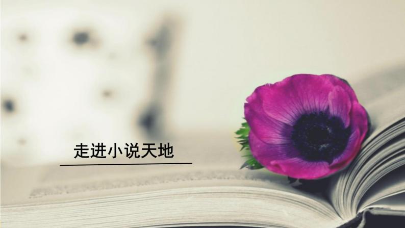初中语文九上第四单元综合性学习 走进小说天地课件01