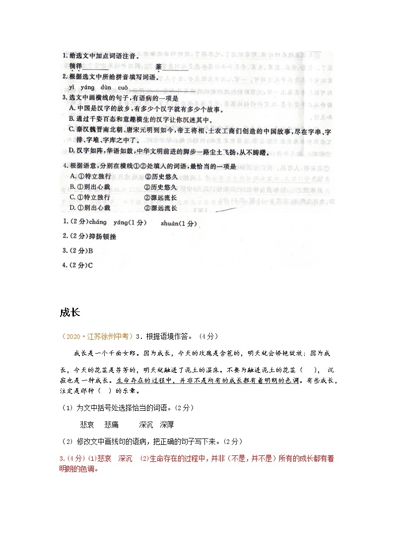 初中语文9下4.语段基础综合含答案 试卷03