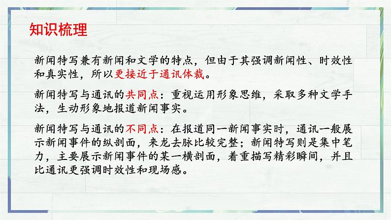 《“飞天凌空”——跳水姑娘吕伟夺魁记》(课件)-2022-2023学年八年级语文上册同步精品课堂(部编版)第6页