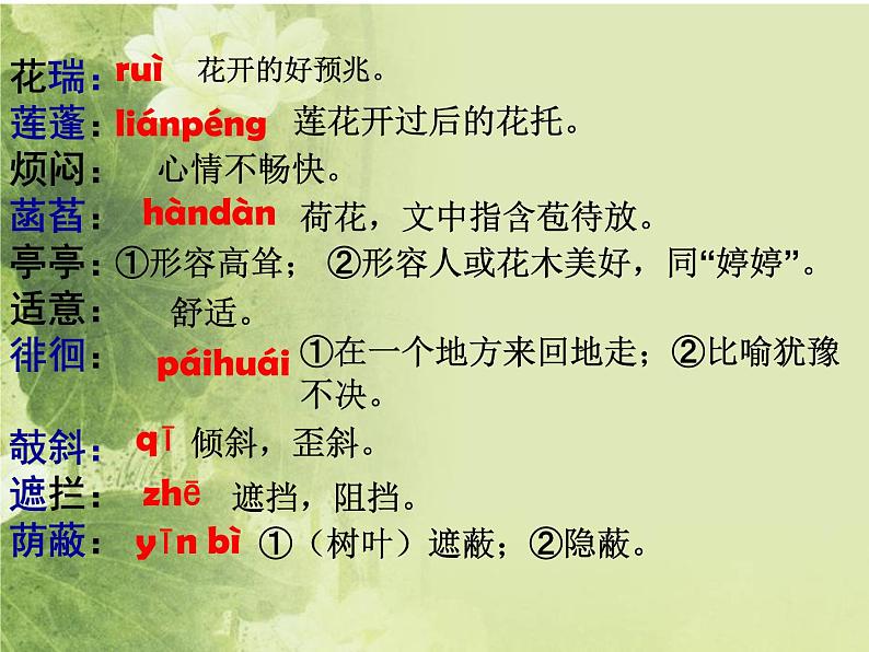 部编版语文七年级上第二单元7《荷叶母亲》 教学课件第4页