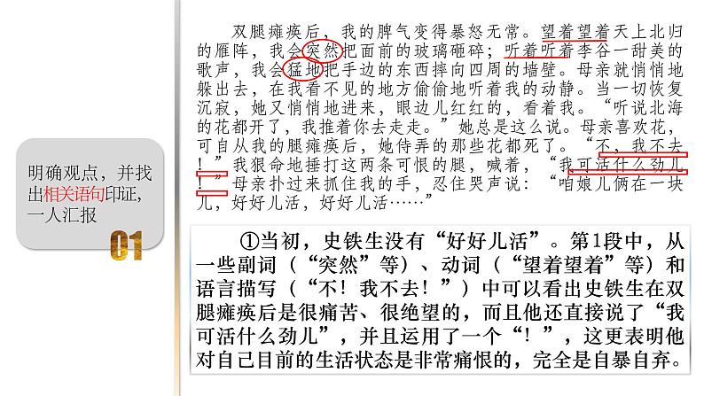 部编版七年级语文上册--5 秋天的怀念 课件08