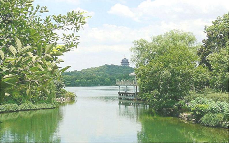 人教部编版八年级上册《钱塘湖春行》教学课件第2页