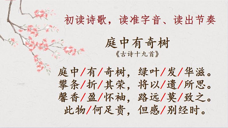 人教部编版八年级上册《庭中有奇树》教学课件03