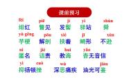 初中語文人教部編版八年級上冊第二單元6 藤野先生圖片課件ppt