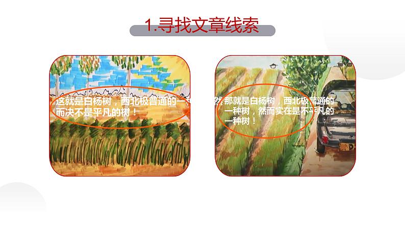 人教部编八年级语文上册《白杨礼赞》第一课时教学课件第6页