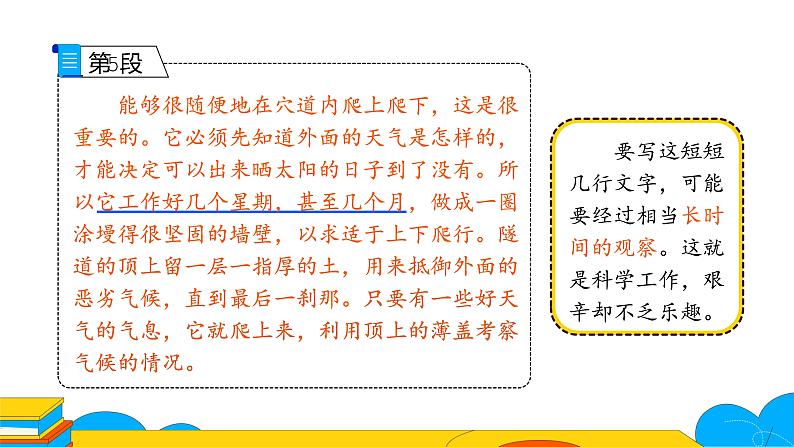 人教部编版八年级语文上册《蝉》课件第8页