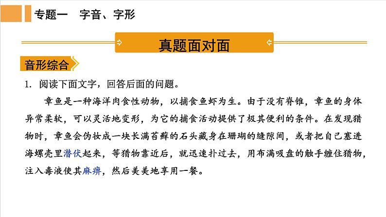 人教部编版语文中考《字音字形》精品课件PPT第2页