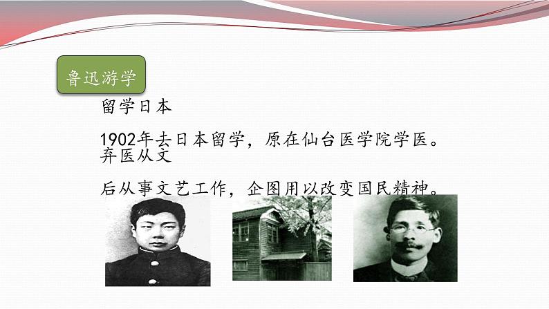 人教部编版七年级上册《从百草园到三味书屋》课件06