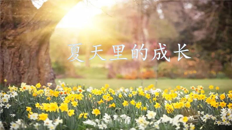 人教部编版六年级上册《夏天里的成长》教学课件01
