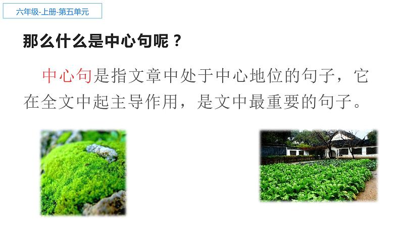 人教部编版六年级上册《夏天里的成长》课件03