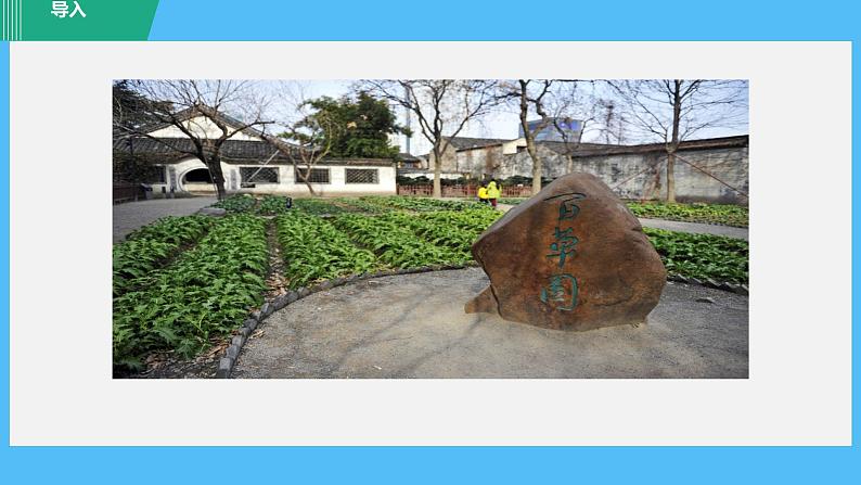 部编版七年级语文上册课件--9 从百草园到三味书屋1(精品课件)第2页