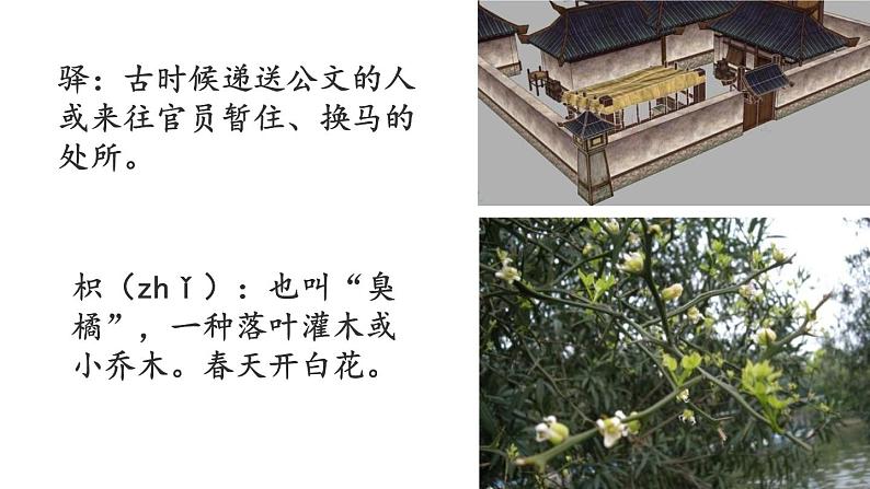 人教部编版九年级上册《商山早行》课件第8页