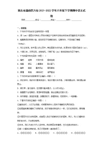 重庆市潼南区六校2021-2022学年八年级下学期期中语文试题(含答案)