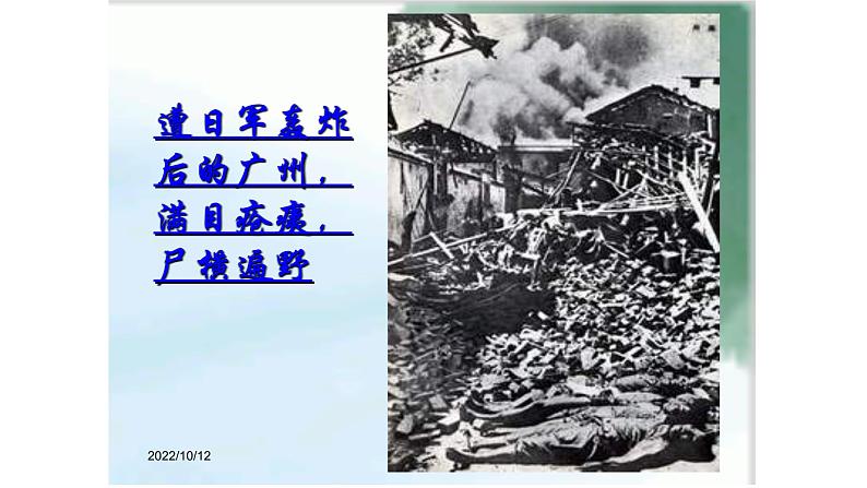 人教部编版九年级上册《我爱这土地》课件07