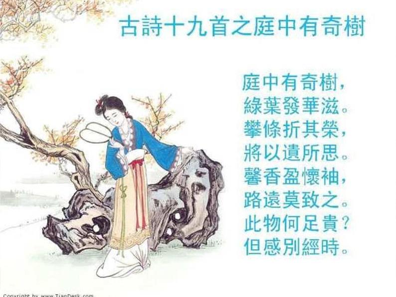 2022年部编版八年级上册《庭中有奇树》课件04