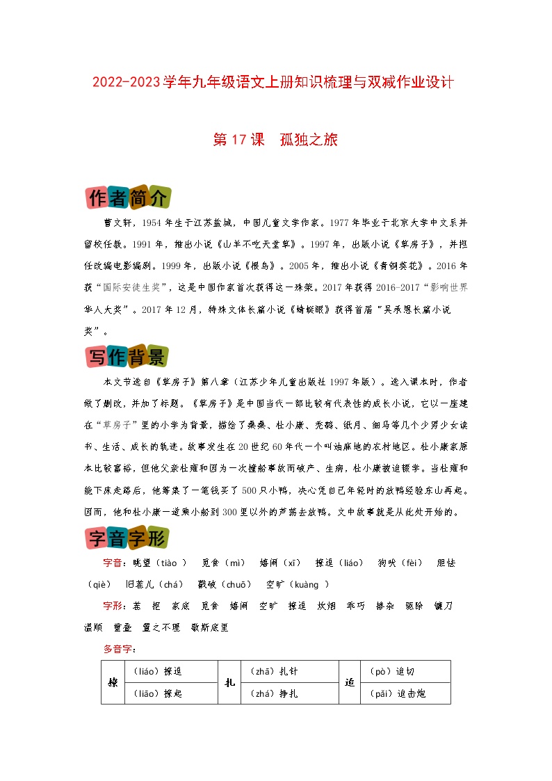 初中语文人教部编版九年级上册17* 孤独之旅当堂检测题