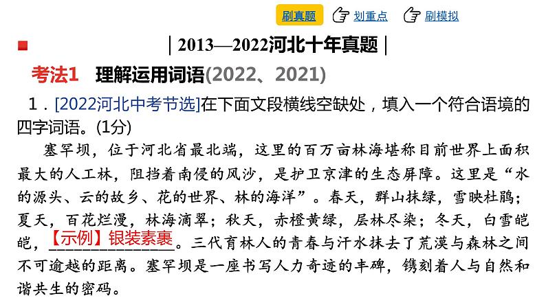 中考语文复习--专题五 词语运用课件第5页