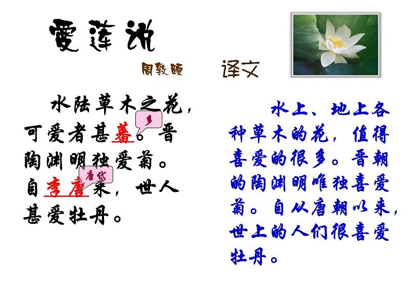 爱莲说 课件第7页