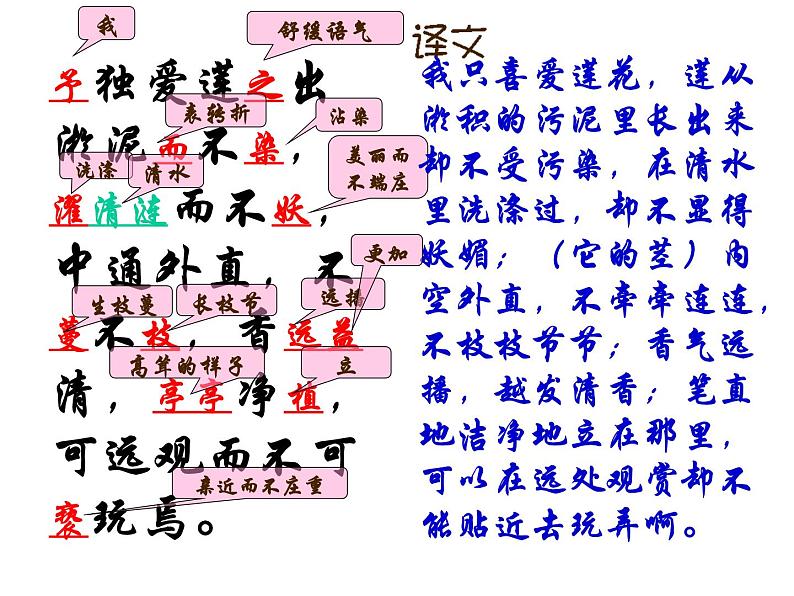 爱莲说 课件第8页