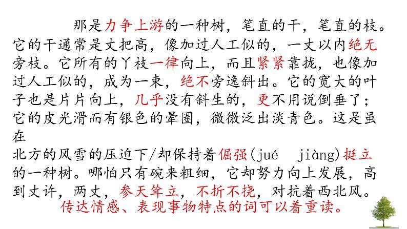 抒情散文情感解读密码——品读语言课件第5页