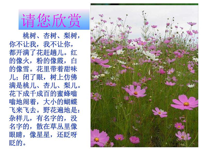2023届中考语文二轮复习:景物描写课件第3页