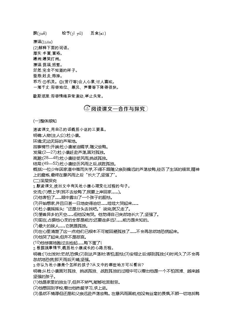 部编版九年级语文上册17.孤独之旅【教案】02